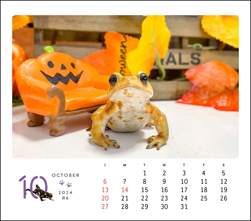 季節感たっぷり