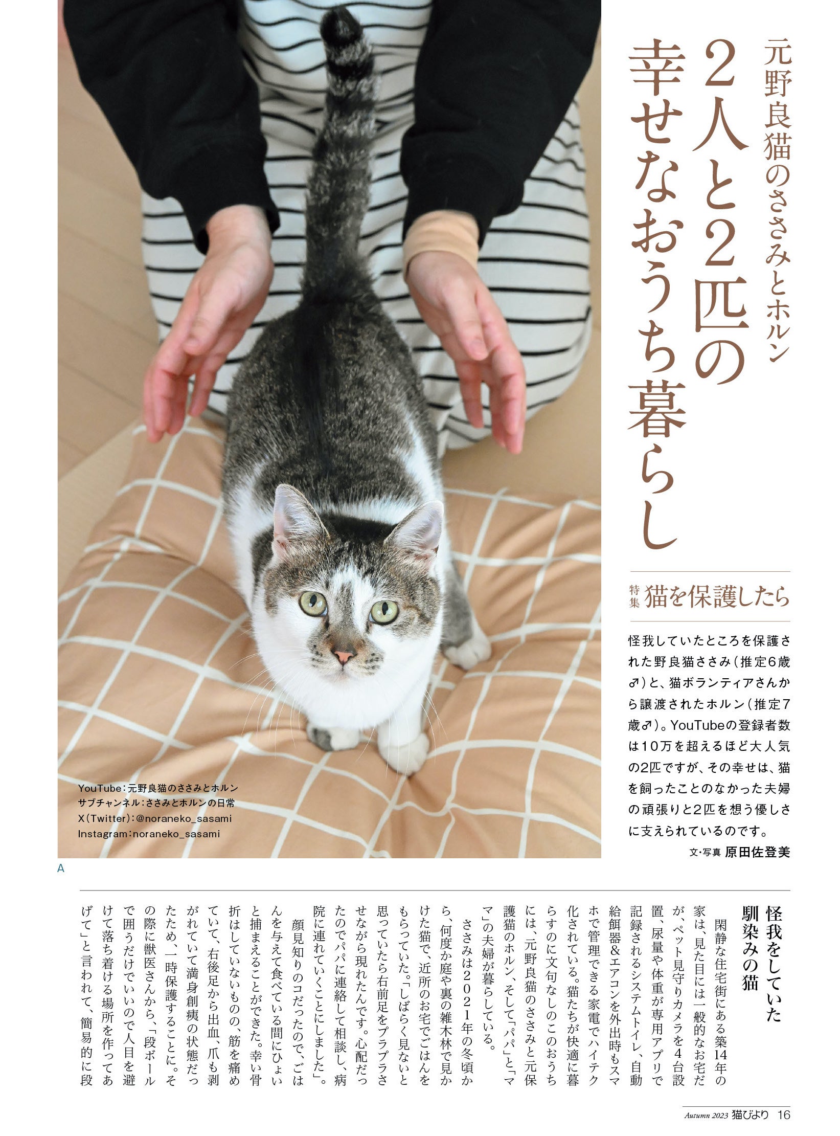 猫を保護したらどうすべき？ 9月12日（火）発売の猫専門誌『猫