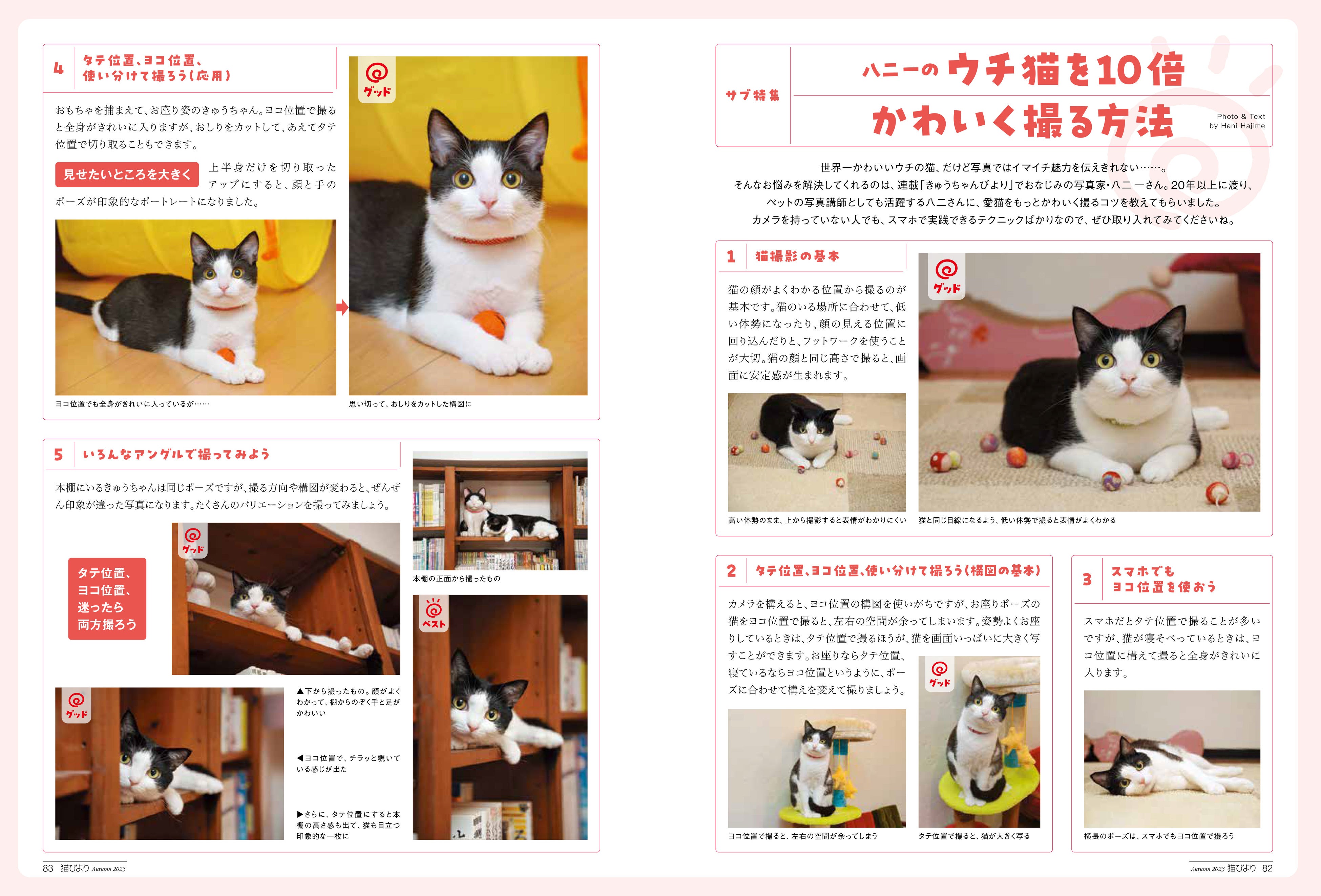 【中古】 猫川柳 気まぐれ主義/辰巳出版/辰巳出版株式会社 猫を保護したらどうすべき？ 9月12日（火）発売の猫専門誌『猫