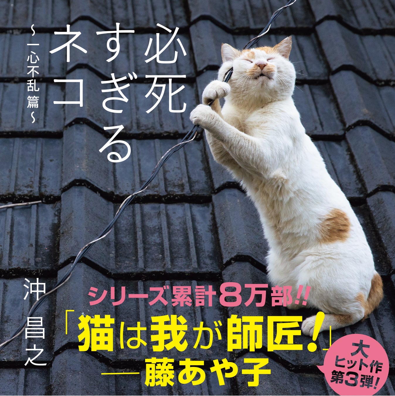 思わず笑っちゃう猫写真集 必死すぎるネコ 一心不乱篇 の写真展が開催 辰巳出版株式会社のプレスリリース 思わず笑っちゃう猫写真集 必死すぎるネコ 一心不乱篇 の写真展が開催 辰巳出版株式会社のプレスリリース