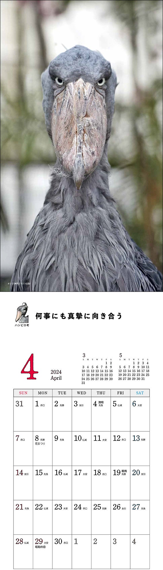 たっぷり書き込めます