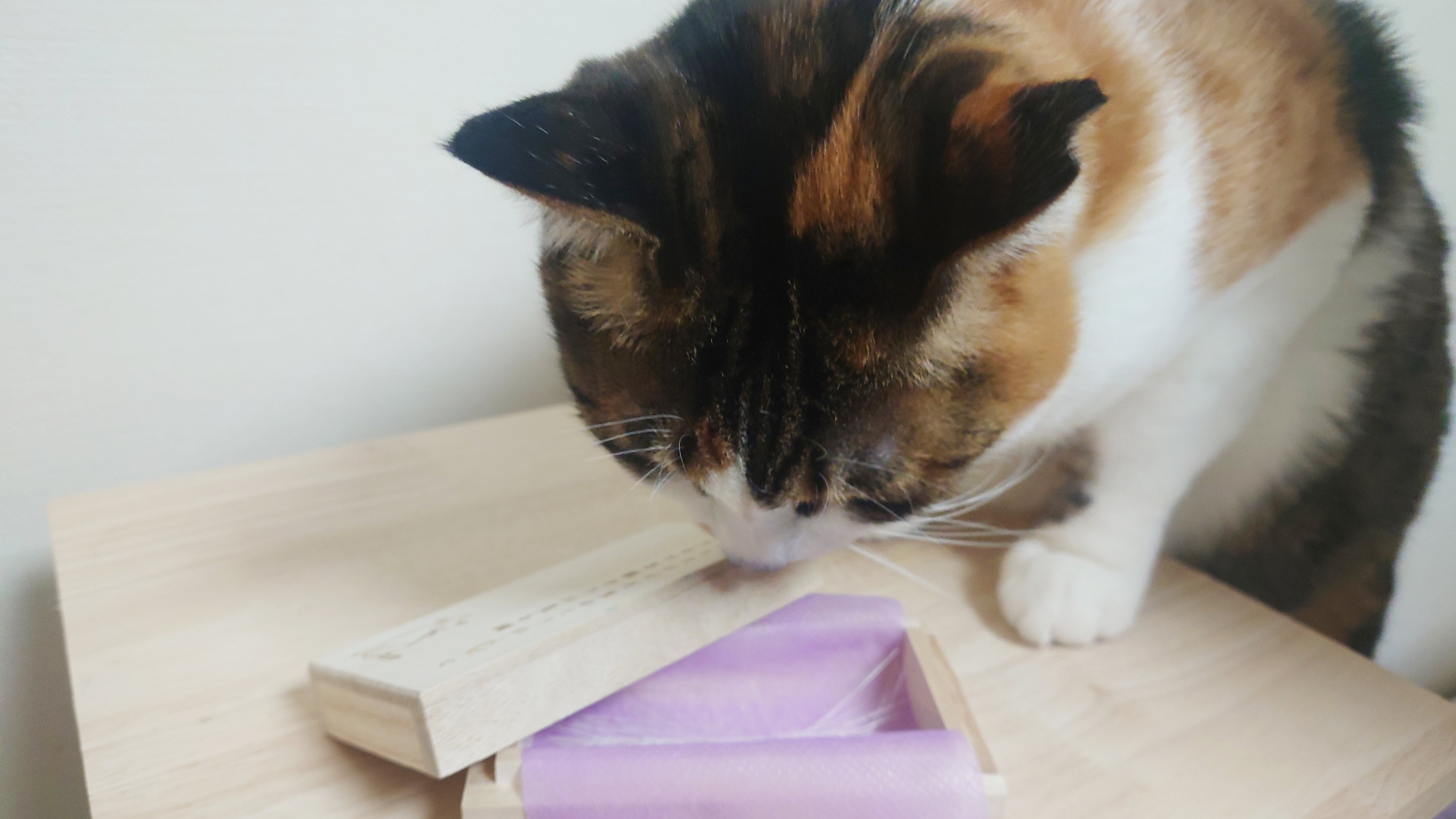 「私のひげがいっぱい入ってる！」