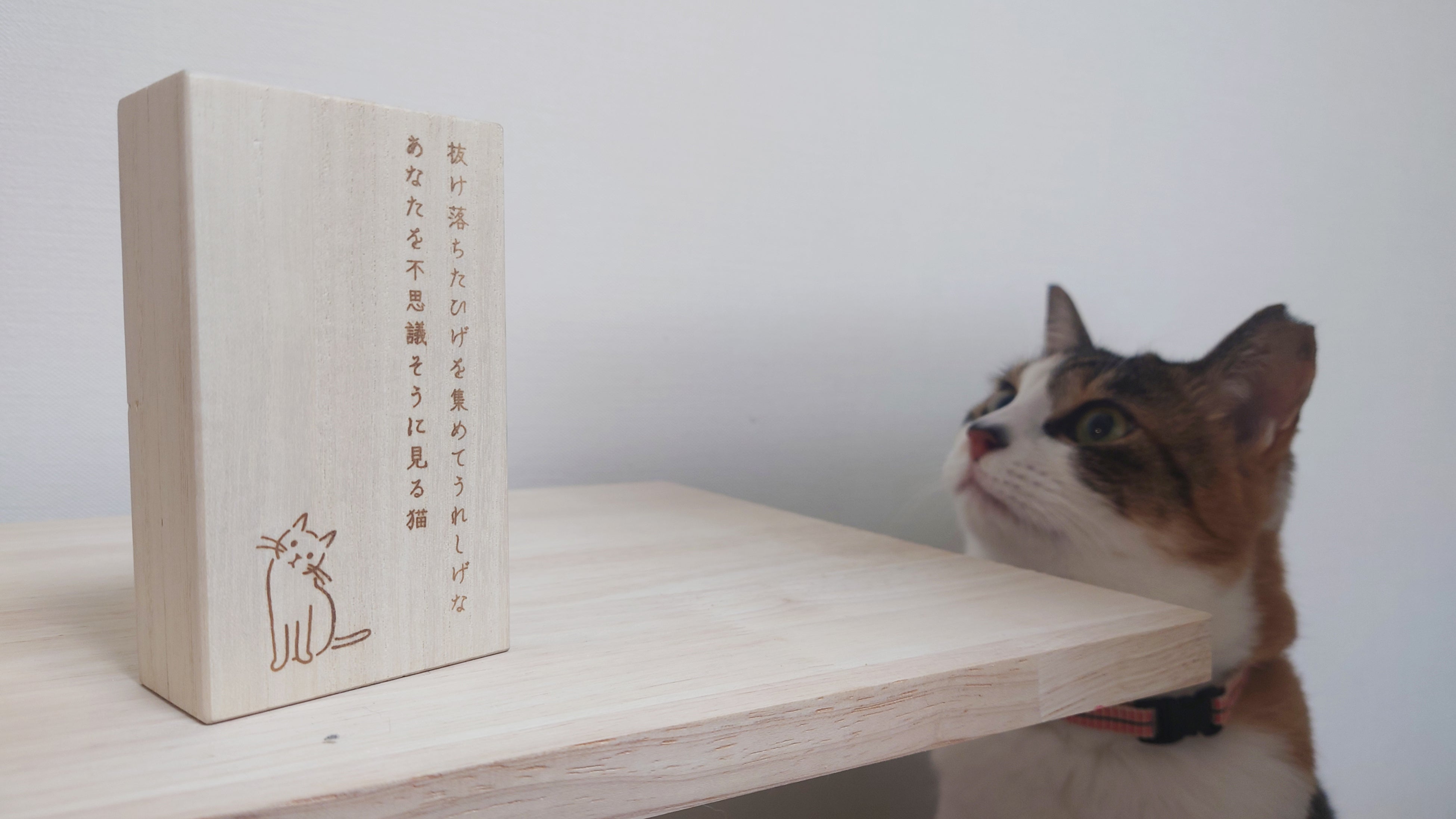 「何だこの箱？」