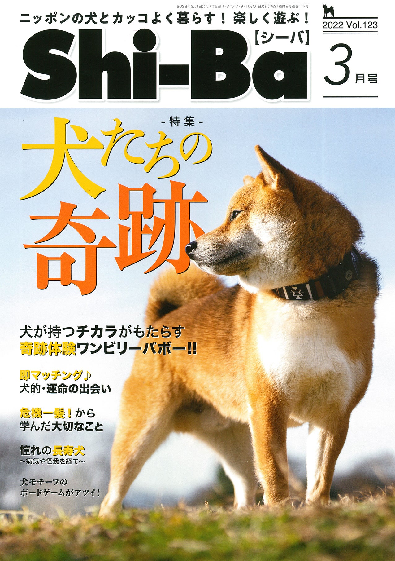柴犬好き必見！ 日本犬専門誌『Shi-Ba【シーバ】』、はじめての