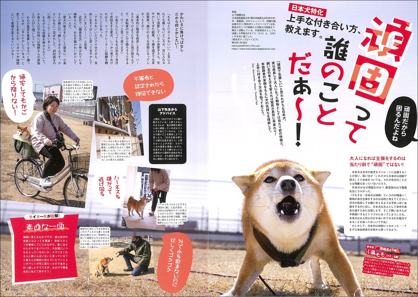 柴犬好き必見 日本犬専門誌 Shi Ba シーバ はじめての主催イベント開催 辰巳出版株式会社のプレスリリース 柴犬好き必見 日本犬専門誌 Shi Ba シーバ はじめての主催イベント開催 辰巳出版株式会社のプレスリリース