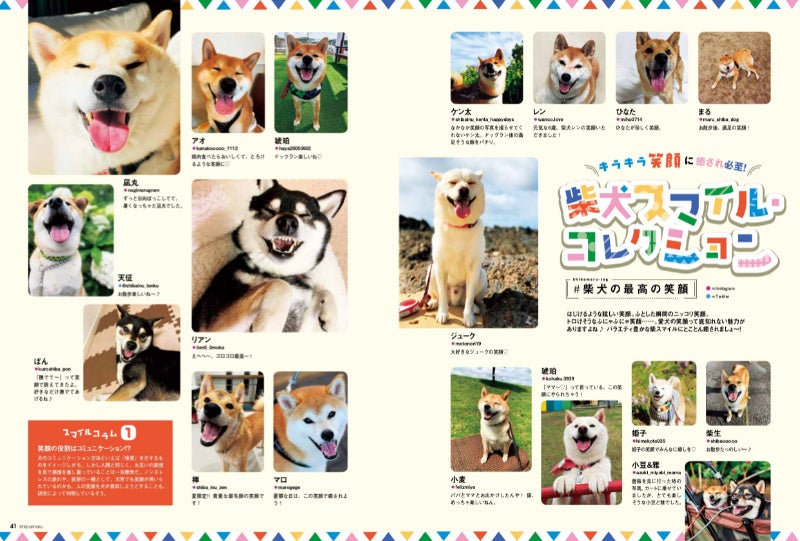 一般募集した投稿写真をテーマ別に特集!