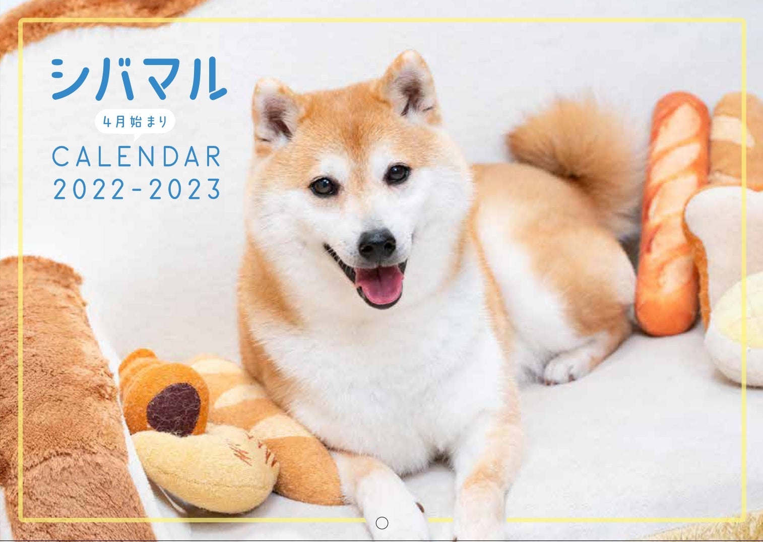 柴犬ワンフルエンサー 全国の柴犬たちが大集合 とにかく柴犬 まみれの柴好き必見マガジン シバマル が3月29日 火 発売 辰巳出版株式会社のプレスリリース 柴犬ワンフルエンサー 全国の柴犬たちが大集合 とにかく柴犬 まみれの柴好き必見マガジン シバマル が3月29日 火 発売 辰巳出版株式会社のプレスリリース