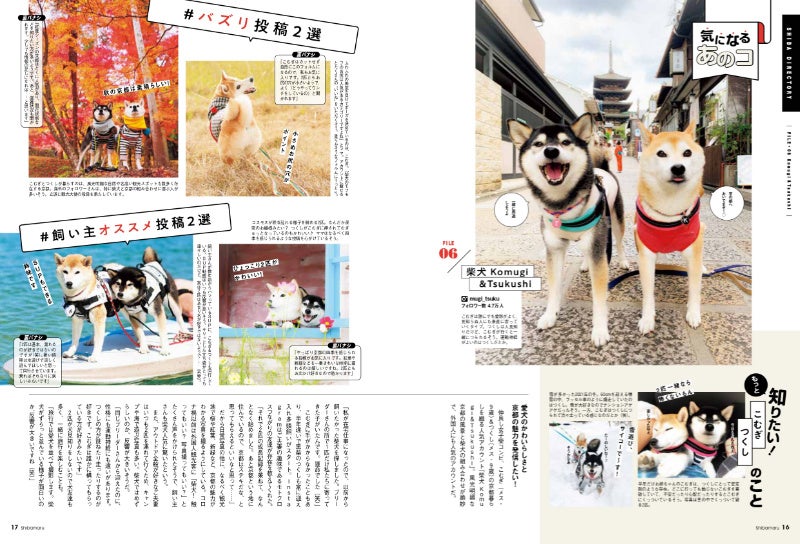 人気柴犬たちの素顔や、投稿写真の裏話まで徹底取材!