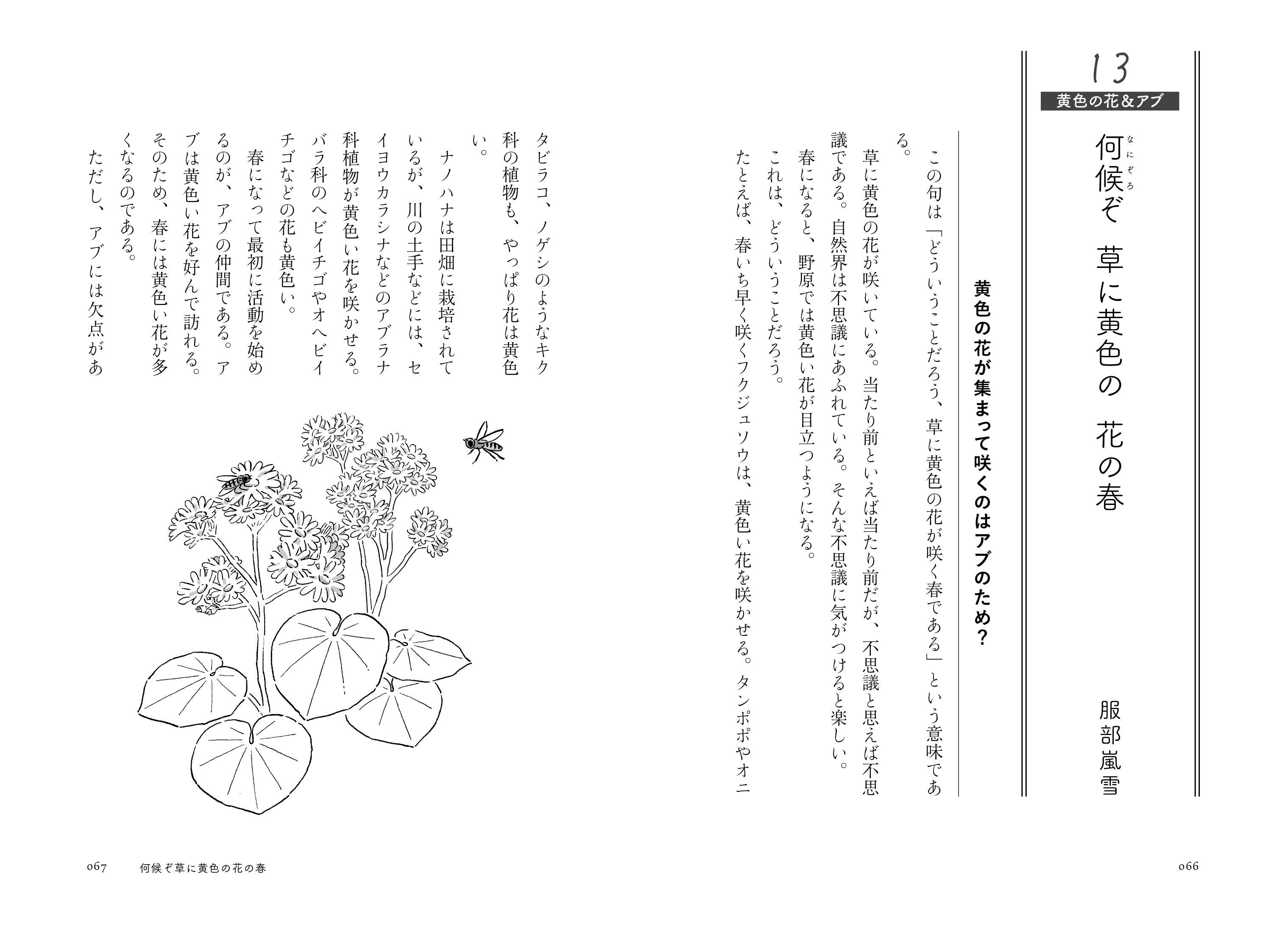 【黄色の花＆アブ】何候ぞ草に黄色の花の春（服部嵐雪）