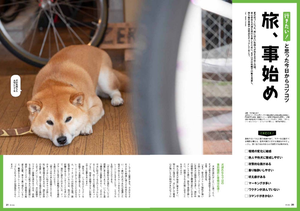 かわいい犬には 旅 をさせよ 計画 準備から旅先での工夫まで 犬との旅 のイロハを特集した日本犬 専門誌 Shi Ba シーバ 最新号が5月27日 金 に発売 辰巳出版株式会社のプレスリリース かわいい犬には 旅 をさせよ 計画 準備から旅先での工夫まで 犬との旅 のイロハを特集した日本犬 専門誌 Shi Ba シーバ 最新号が5月27日 金 に発売 辰巳出版株式会社のプレスリリース