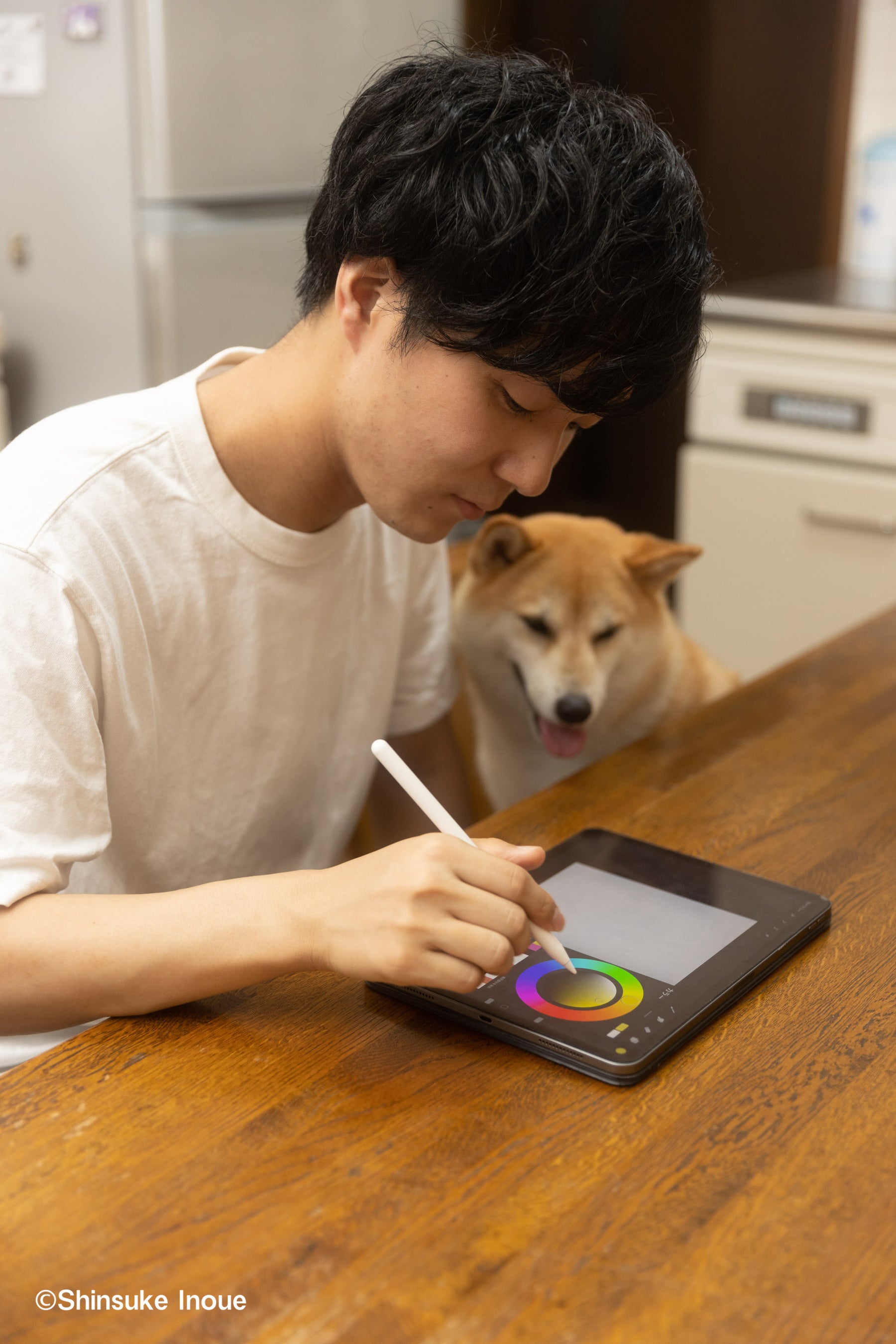 犬 ポストカード いよいよ人気ブランド