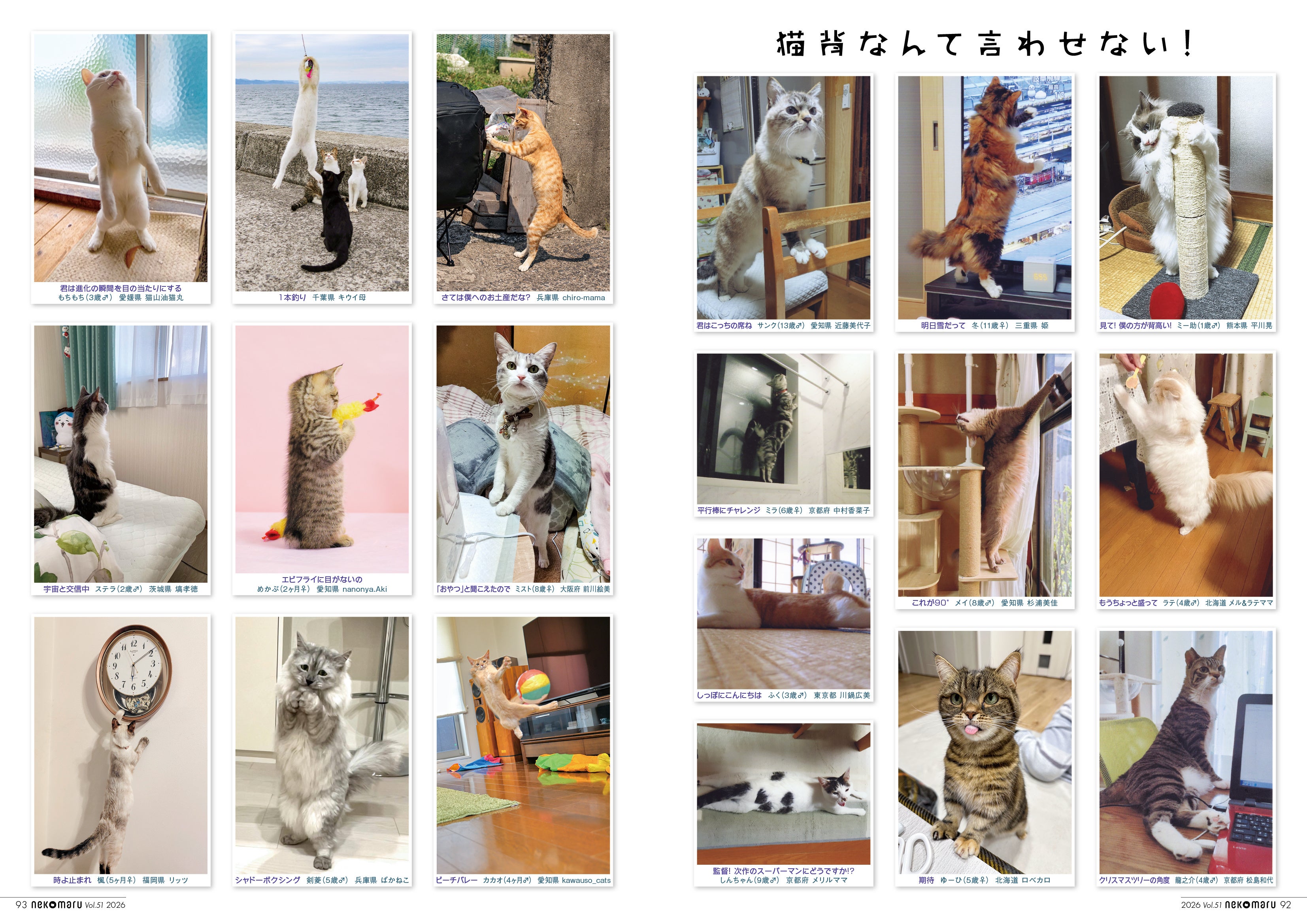 茶トラは陽気」「三毛はツンデレ」「キジトラは用心深い」……猫の毛柄と