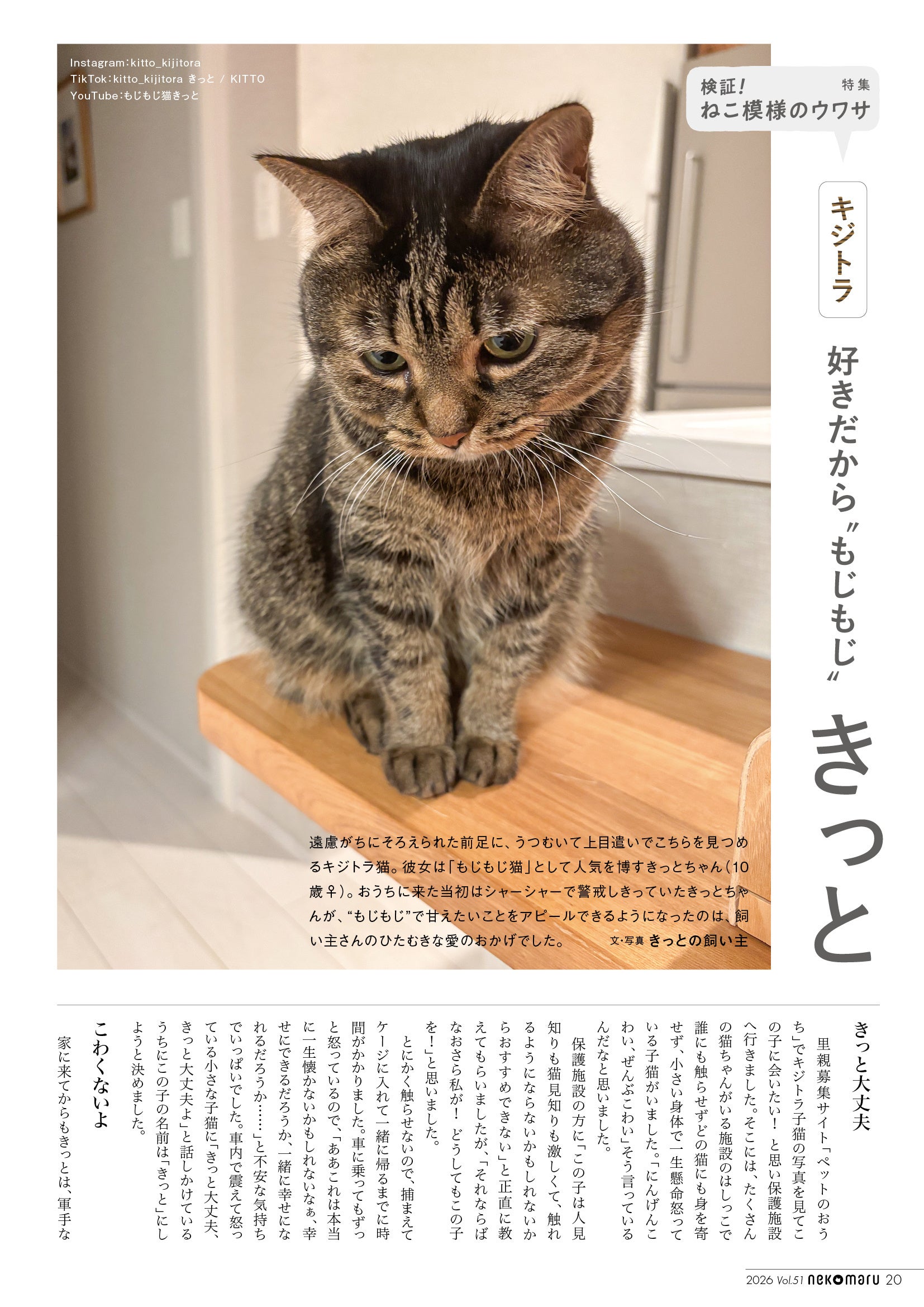 茶トラは陽気」「三毛はツンデレ」「キジトラは用心深い」……猫の毛柄と