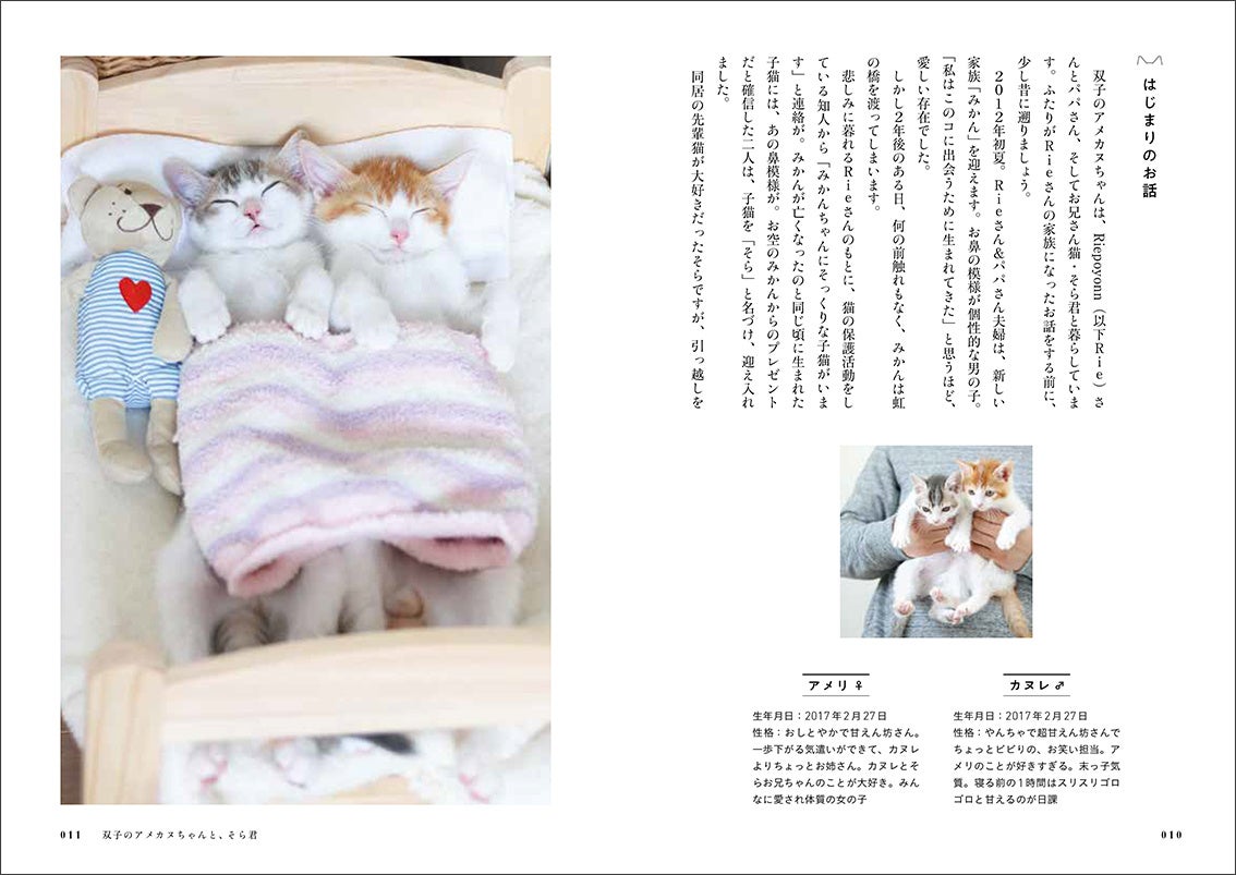 Amazon1位 かわいい保護猫の写真とエピソードがたっぷりの 猫 にひろわれた話 が発売 俺 つしま 作者が描きおろした装画や寄付キャンペーンも話題に 辰巳出版株式会社のプレスリリース Amazon1位 かわいい保護猫の写真とエピソードがたっぷりの 猫 にひろわれた話 が発売 俺 つしま 作者が描きおろした装画や寄付キャンペーンも話題に 辰巳出版株式会社のプレスリリース