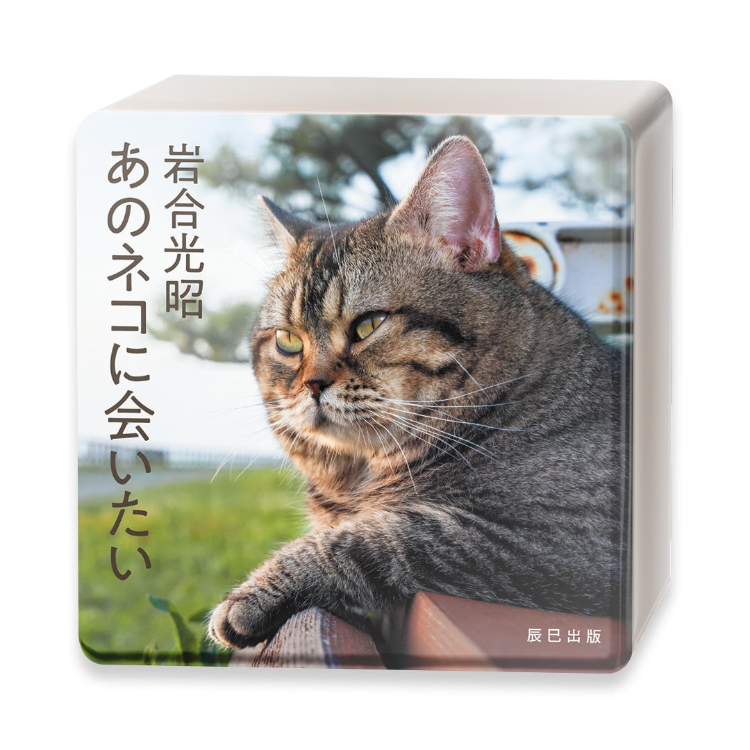 デジタル・ミニ写真集のパッケージ(ボックス)