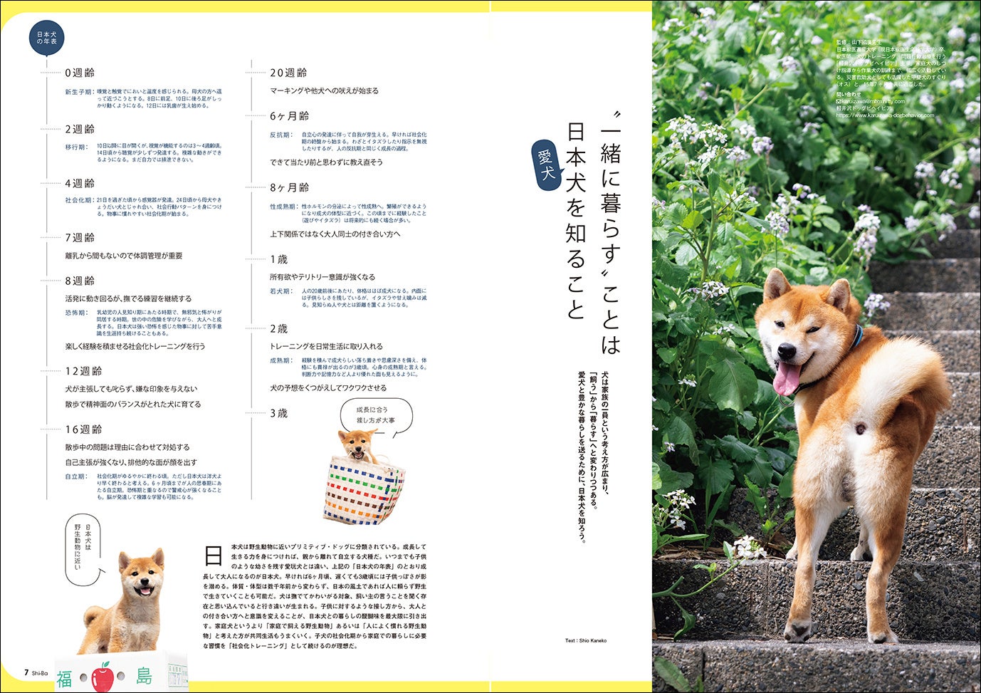 犬だって快適な家で暮らしたい 愛犬のための家づくり 家探しについて徹底特集した日本犬 専門誌 Shi Ba シーバ 最新vol 125が8月29日 月 発売 辰巳出版株式会社のプレスリリース 犬だって快適な家で暮らしたい 愛犬のための家づくり 家探しについて徹底特集した日本犬 専門誌 Shi Ba シーバ 最新vol 125が8月29日 月 発売 辰巳出版株式会社のプレスリリース