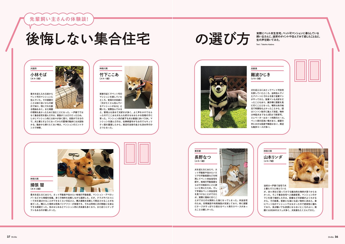 犬だって快適な家で暮らしたい 愛犬のための家づくり 家探しについて徹底特集した日本犬 専門誌 Shi Ba シーバ 最新vol 125が8月29日 月 発売 辰巳出版株式会社のプレスリリース 犬だって快適な家で暮らしたい 愛犬のための家づくり 家探しについて徹底特集した日本犬 専門誌 Shi Ba シーバ 最新vol 125が8月29日 月 発売 辰巳出版株式会社のプレスリリース