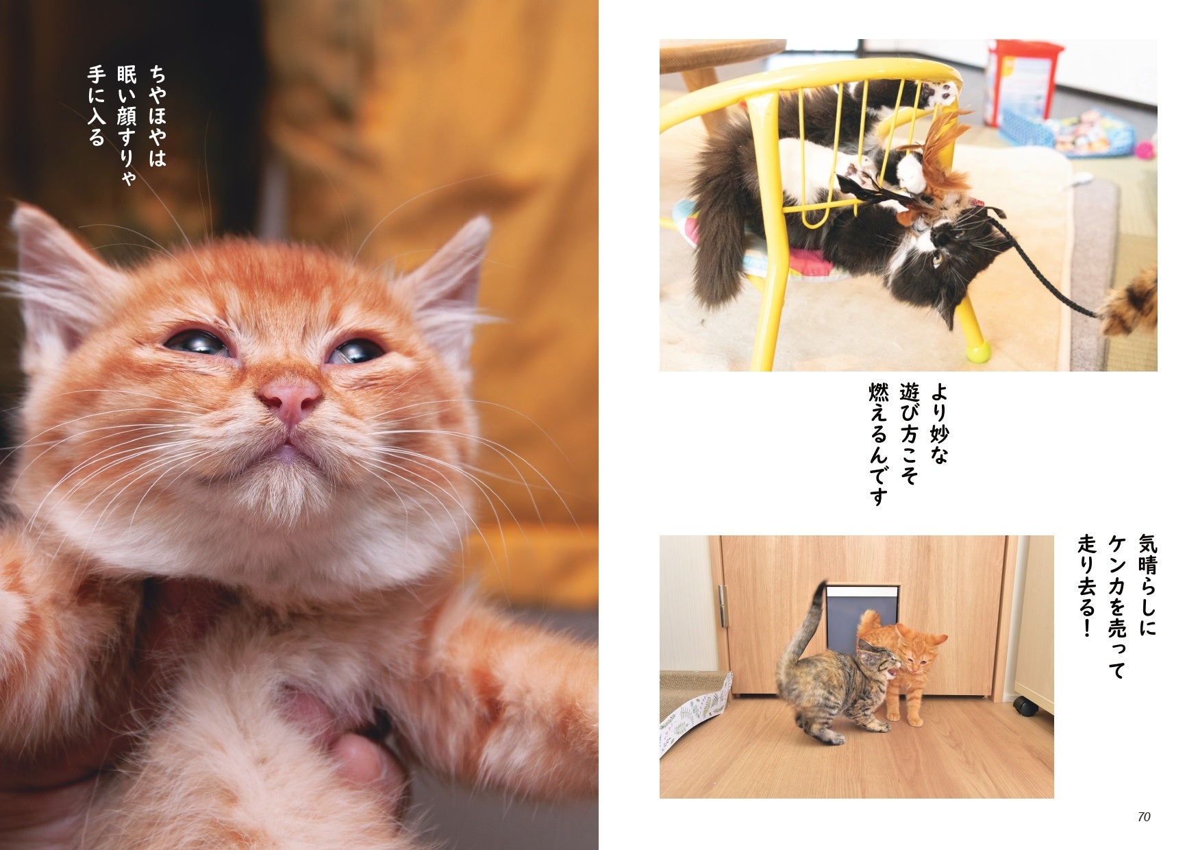 『ホンネ特盛 猫川柳』より