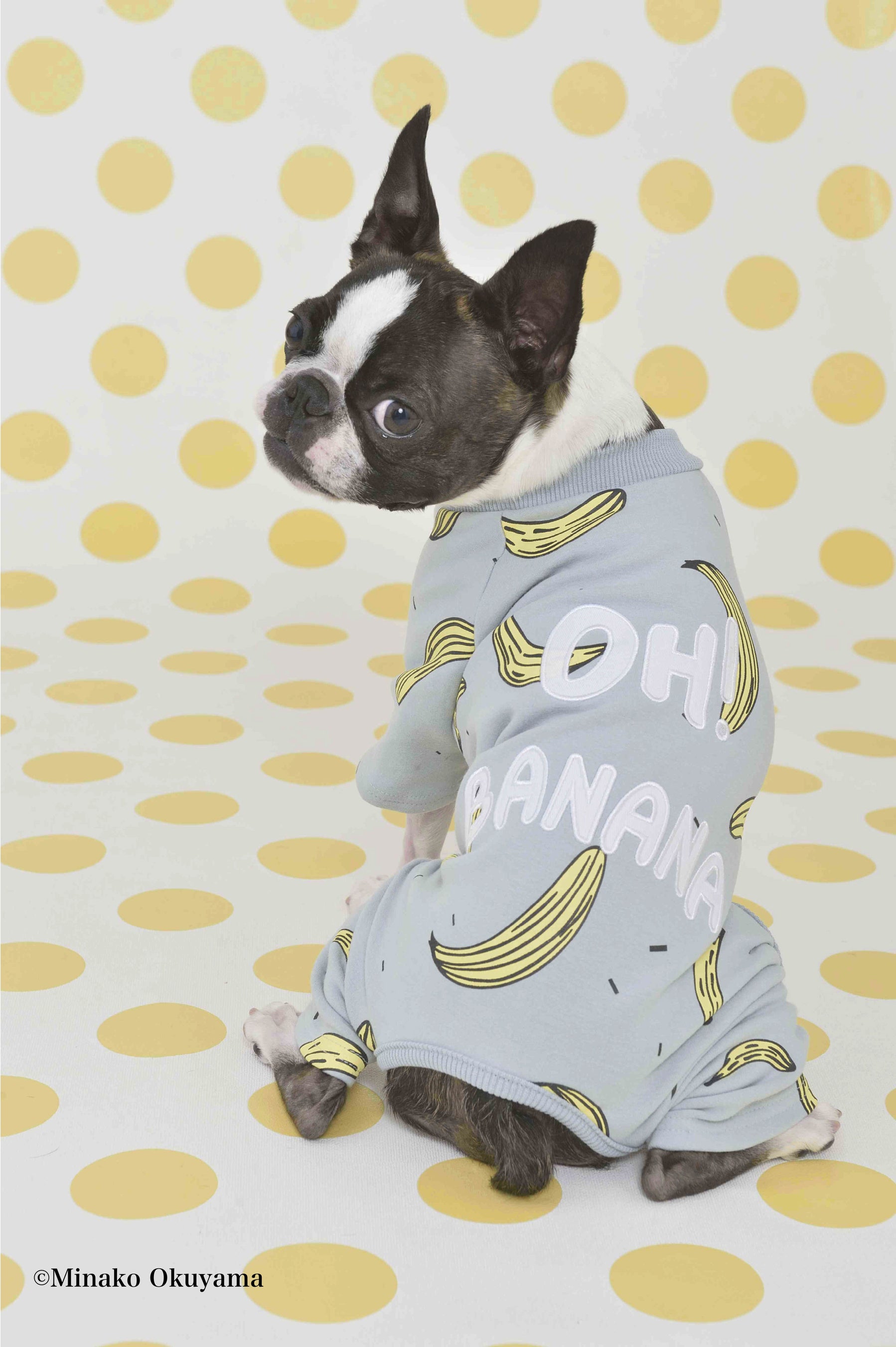 ※写真のセットはイメージです。今回の撮影会で使用するものとは異なります。