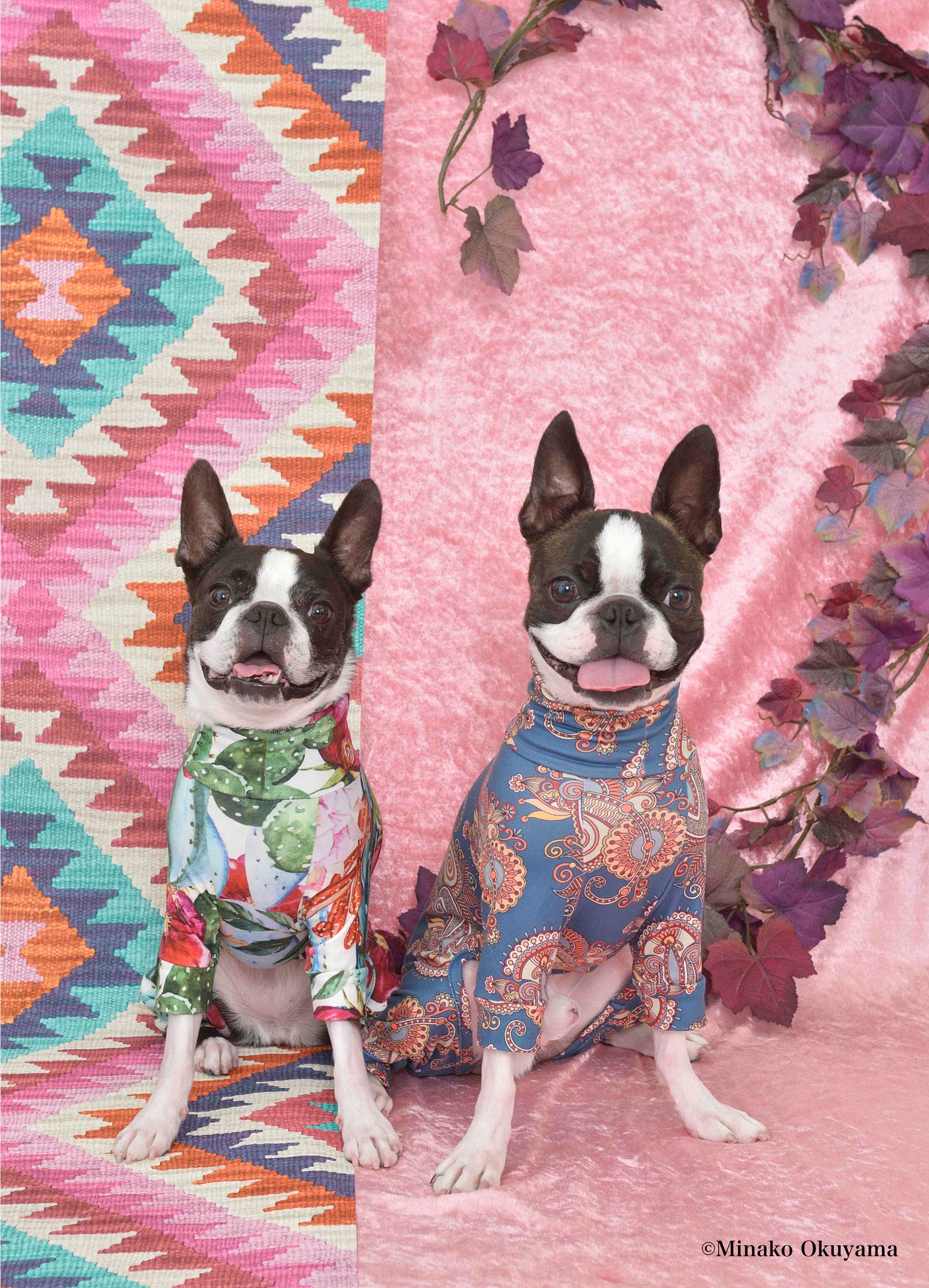 ※写真のセットはイメージです。今回の撮影会で使用するものとは異なります。