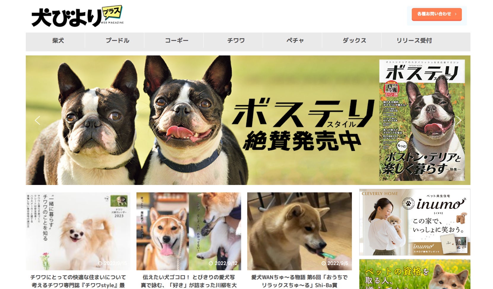 愛犬との暮らしに役立つ記事や新刊情報を随時更新！