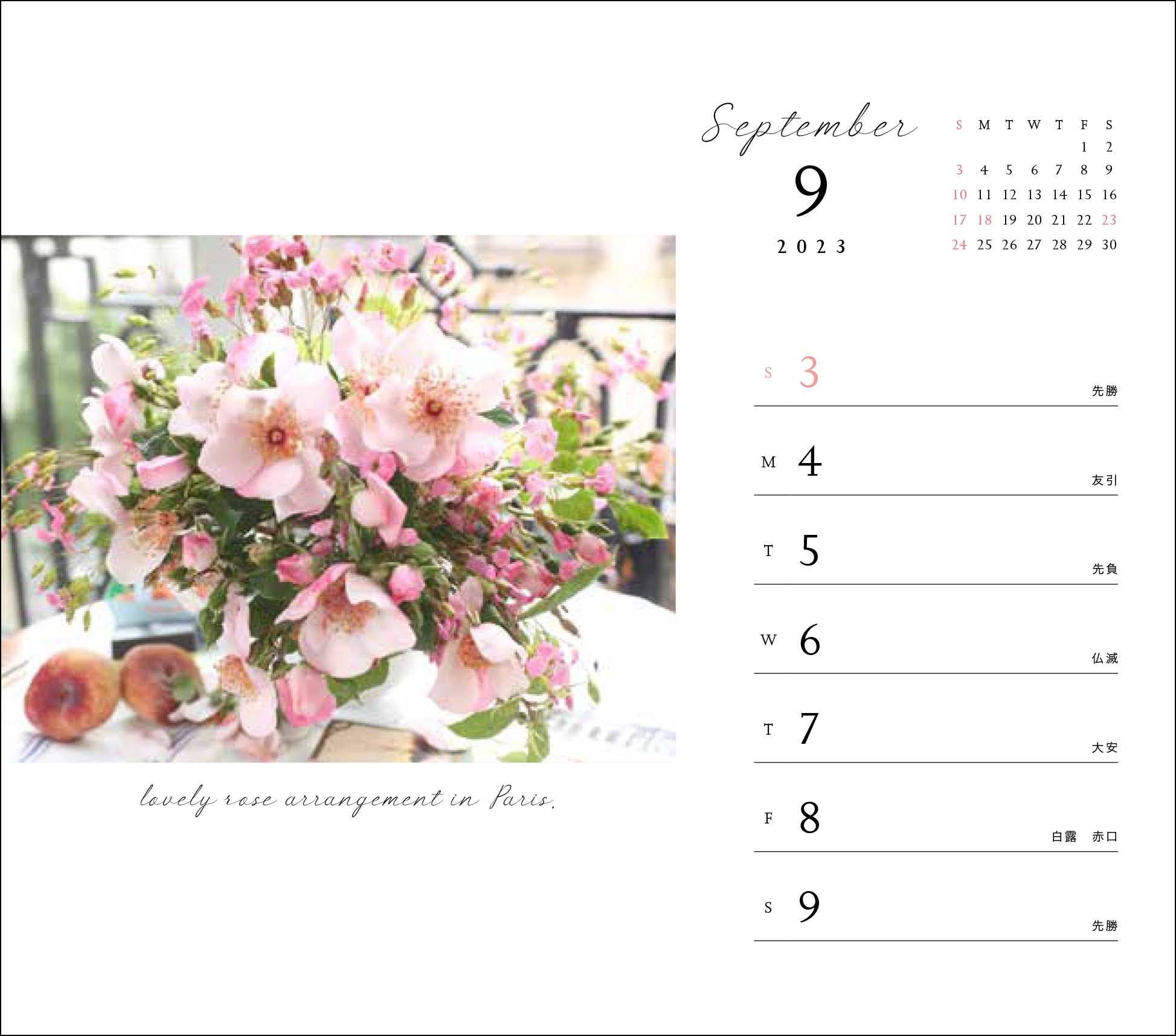 【一重のバラ】パリのアパルトマンの一室で撮影された平たい桃とバラの色使いがフルーティー。アンニュイな空気をまとっています。