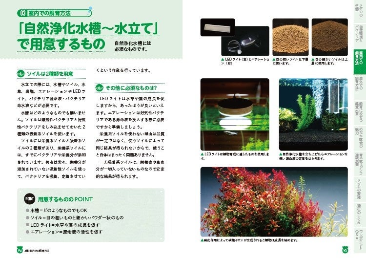 水槽のなかに、擬似的に自然環境と同じシステムを作ることで、臭わない&にごらない水槽を作ることができます。