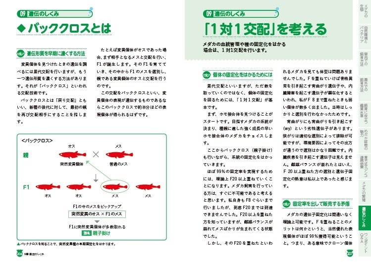 メダカ育成 繁殖 鑑賞のすべてを網羅 日本メダカの第一人者 青木崇浩さんのノウハウを凝縮した メダカの飼育方法 完全版 が日東書院本社より発売 辰巳出版株式会社のプレスリリース メダカ育成 繁殖 鑑賞のすべてを網羅 日本メダカの第一人者 青木崇浩さんのノウハウを凝縮した メダカの飼育方法 完全版 が日東書院本社より発売 辰巳出版株式会社のプレスリリース