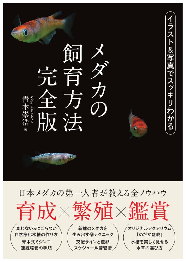 メダカ育成 繁殖 鑑賞のすべてを網羅 日本メダカの第一人者 青木崇浩さんのノウハウを凝縮した メダカの飼育方法 完全版 が日東書院本社より発売 辰巳出版株式会社のプレスリリース メダカ育成 繁殖 鑑賞のすべてを網羅 日本メダカの第一人者 青木崇浩さんのノウハウを凝縮した メダカの飼育方法 完全版 が日東書院本社より発売 辰巳出版株式会社のプレスリリース