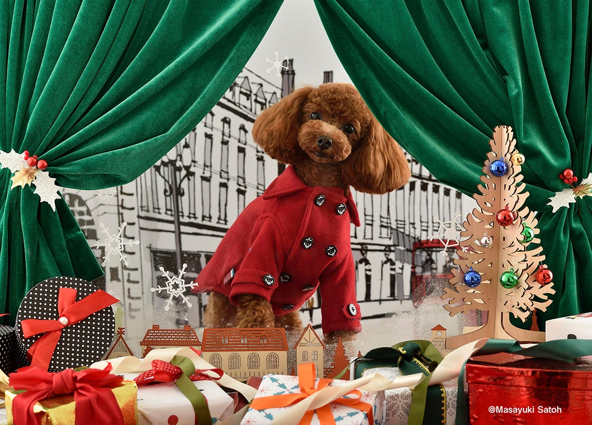 これからの季節にぴったり♪