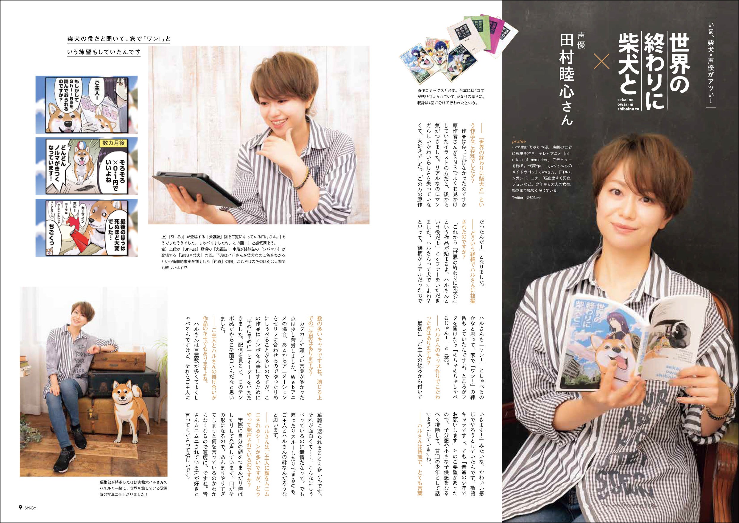 © Yu Ishihara　©石原雄／柴犬大好き倶楽部