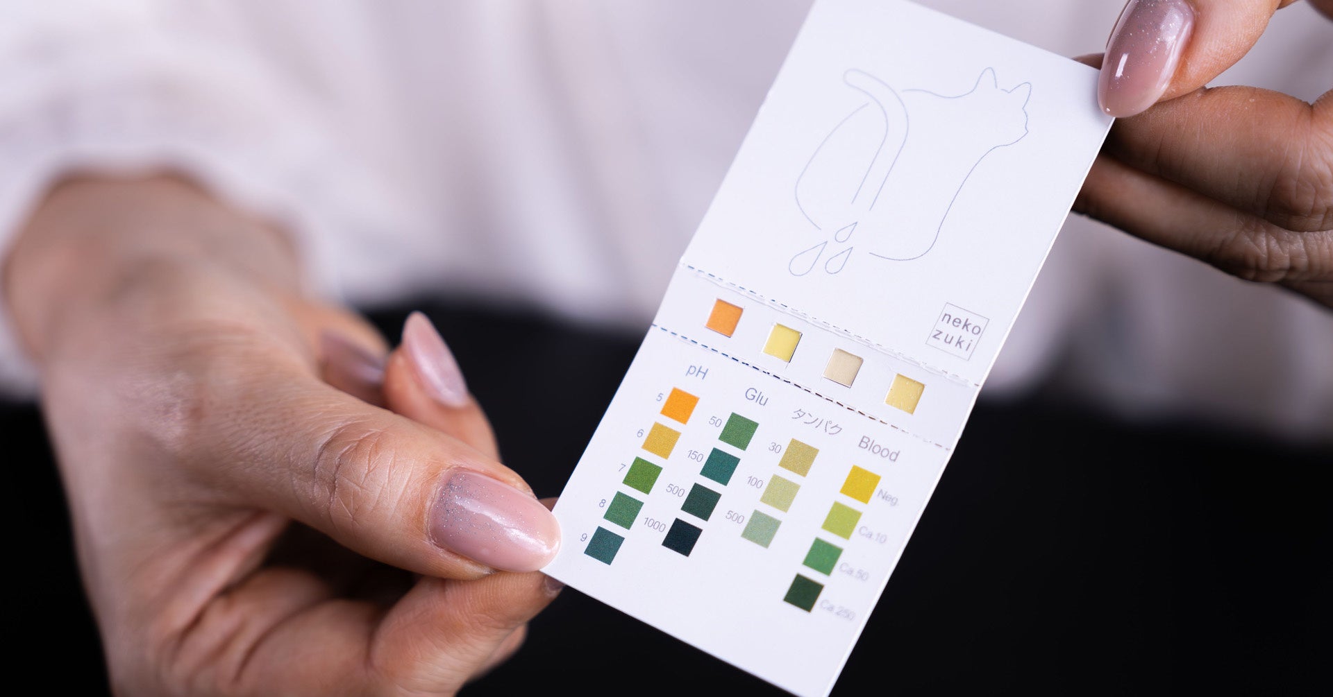 検査結果は表側で確認可能