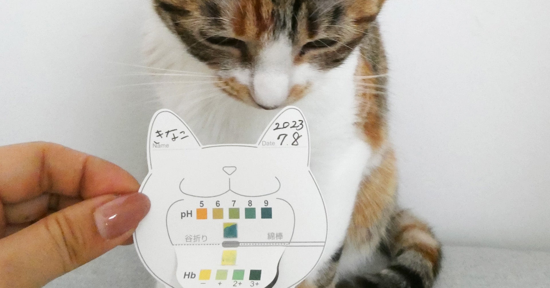 結果は色でわかりやすい