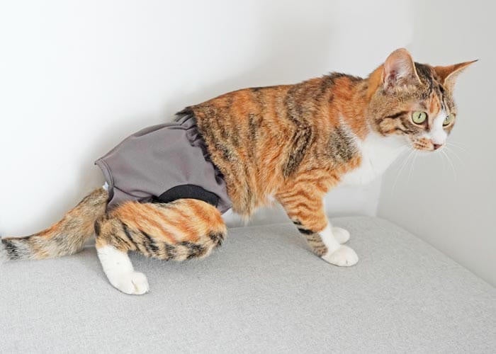 ねこずきのおむつカバー