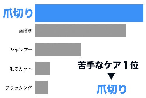 自宅で行うのが苦手なケア　アンケート結果