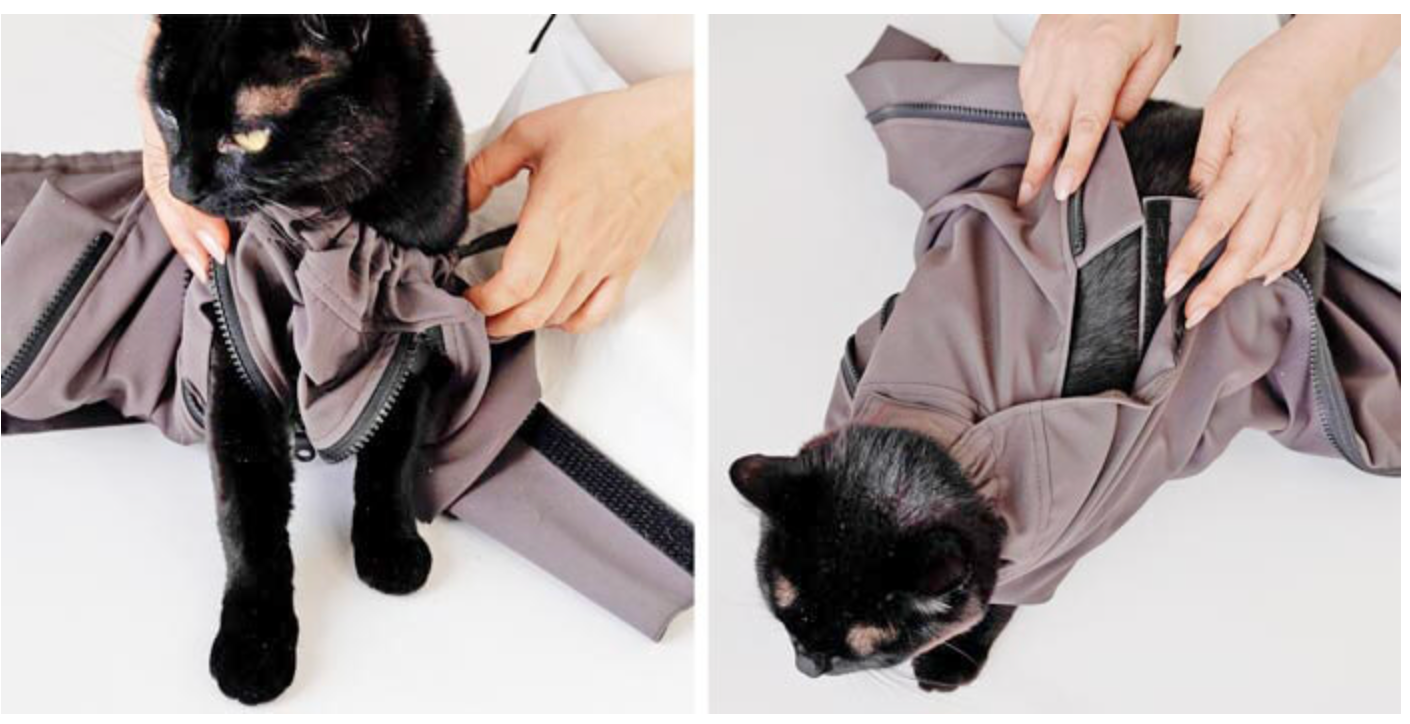 10/16盛岡発 一人でも安全にネコの皮下点滴ができる「ねこずきの