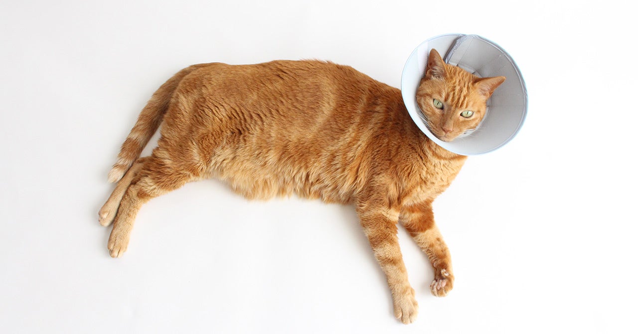 着けているのを忘れるくらいの快適さ