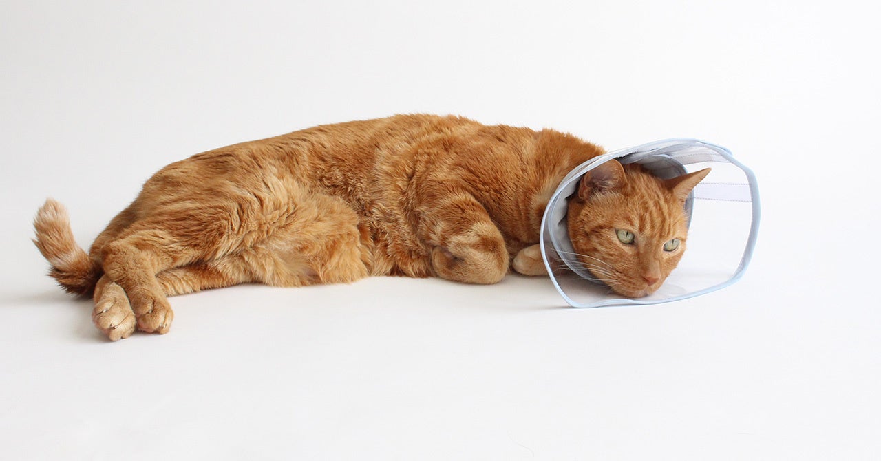 柔らかいから首周りの可動域も確保