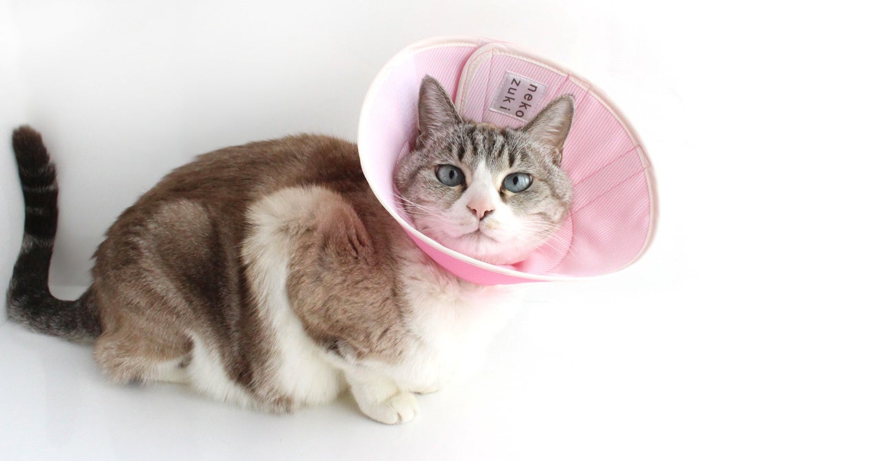 発売以来30回以上改良を繰り返し進化