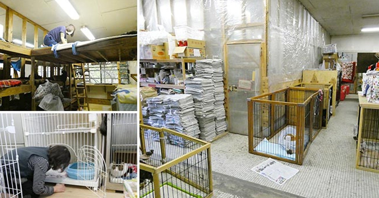 動物いのちの会いわて施設の様子