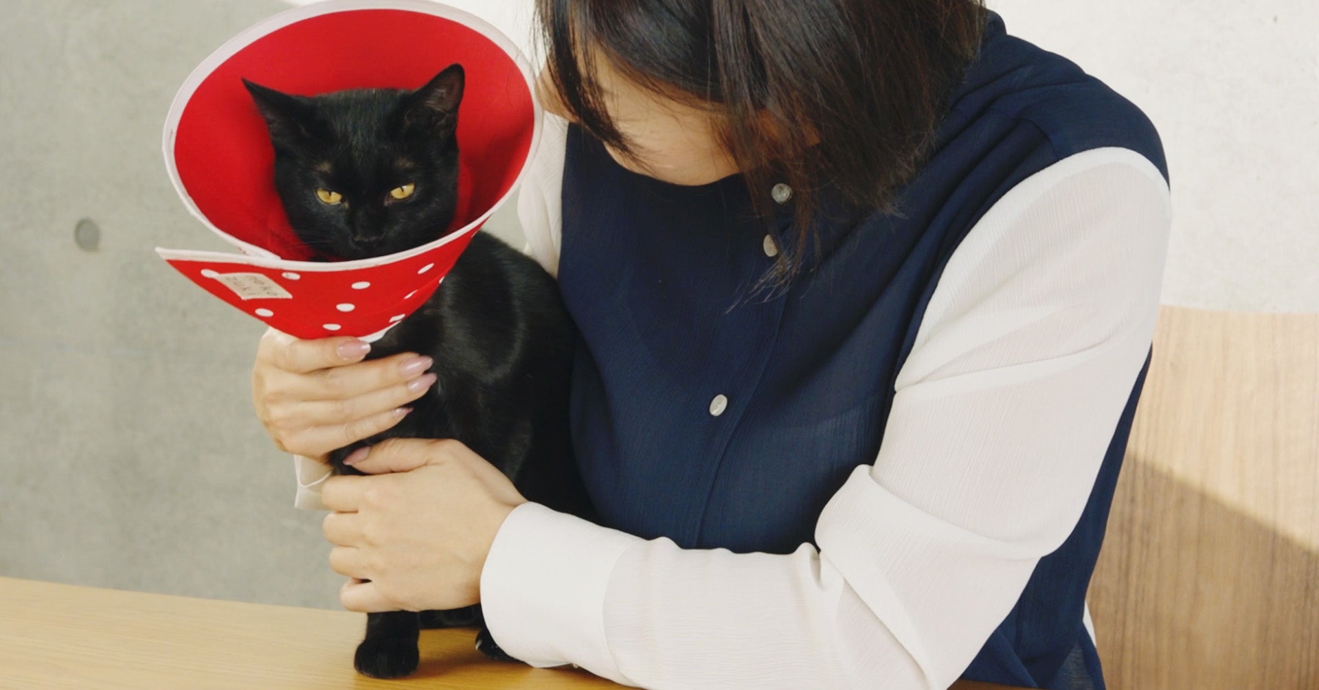 ネコ社員あんこさん