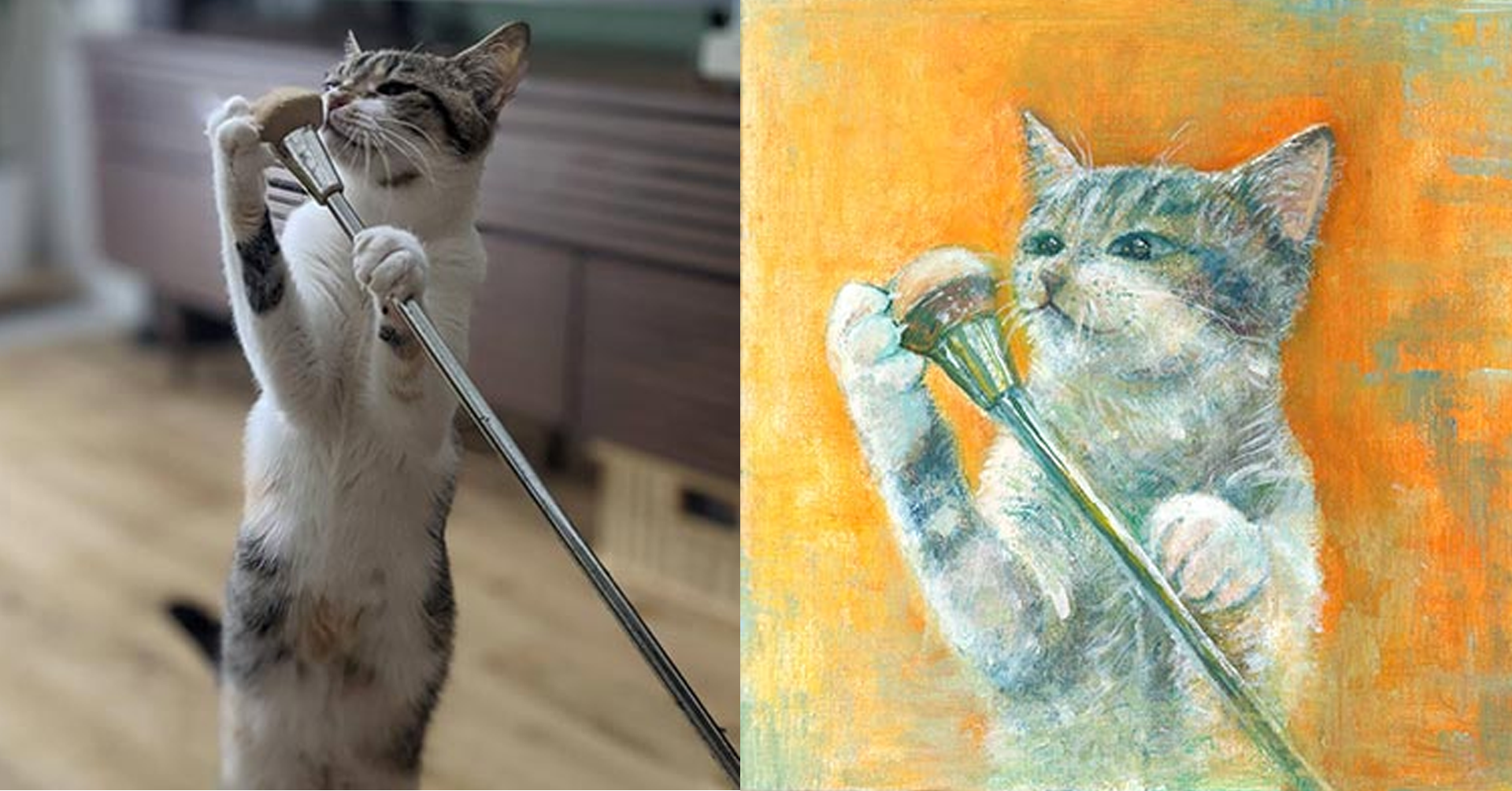 ネコの名前おと・女の子・2歳9ヶ月