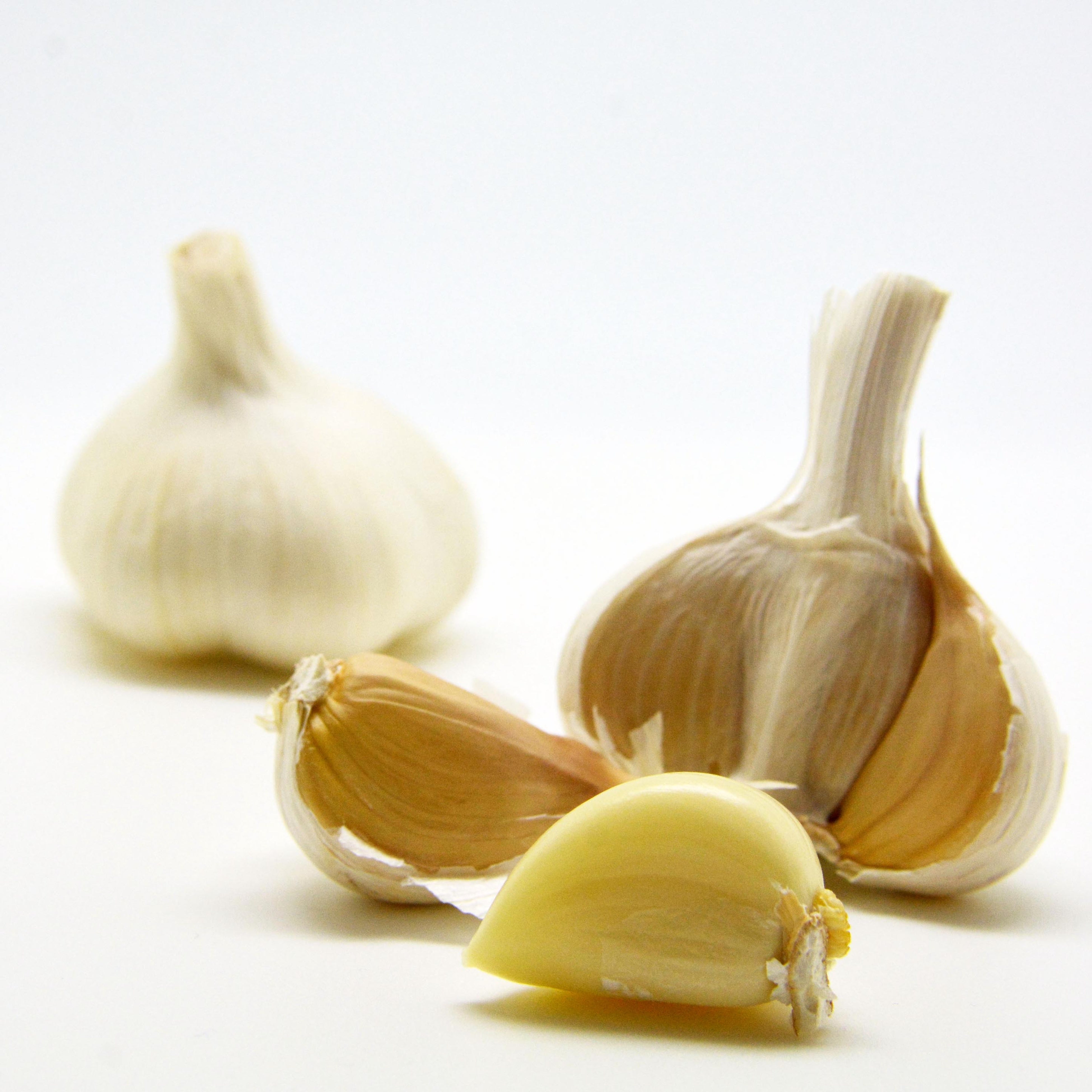 青森県産にんにく