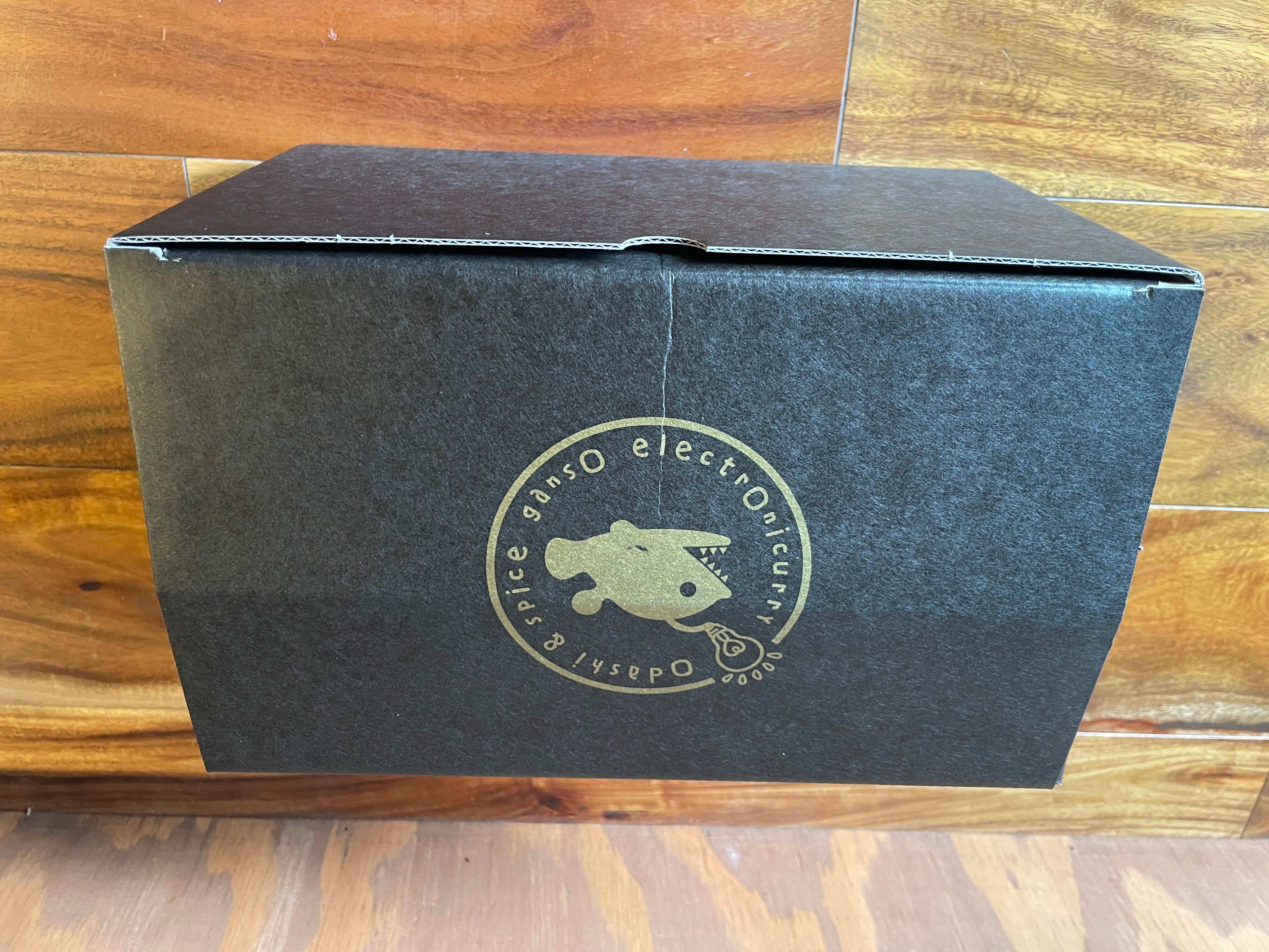 元祖エレクトロニカレーロゴ入りボックス
