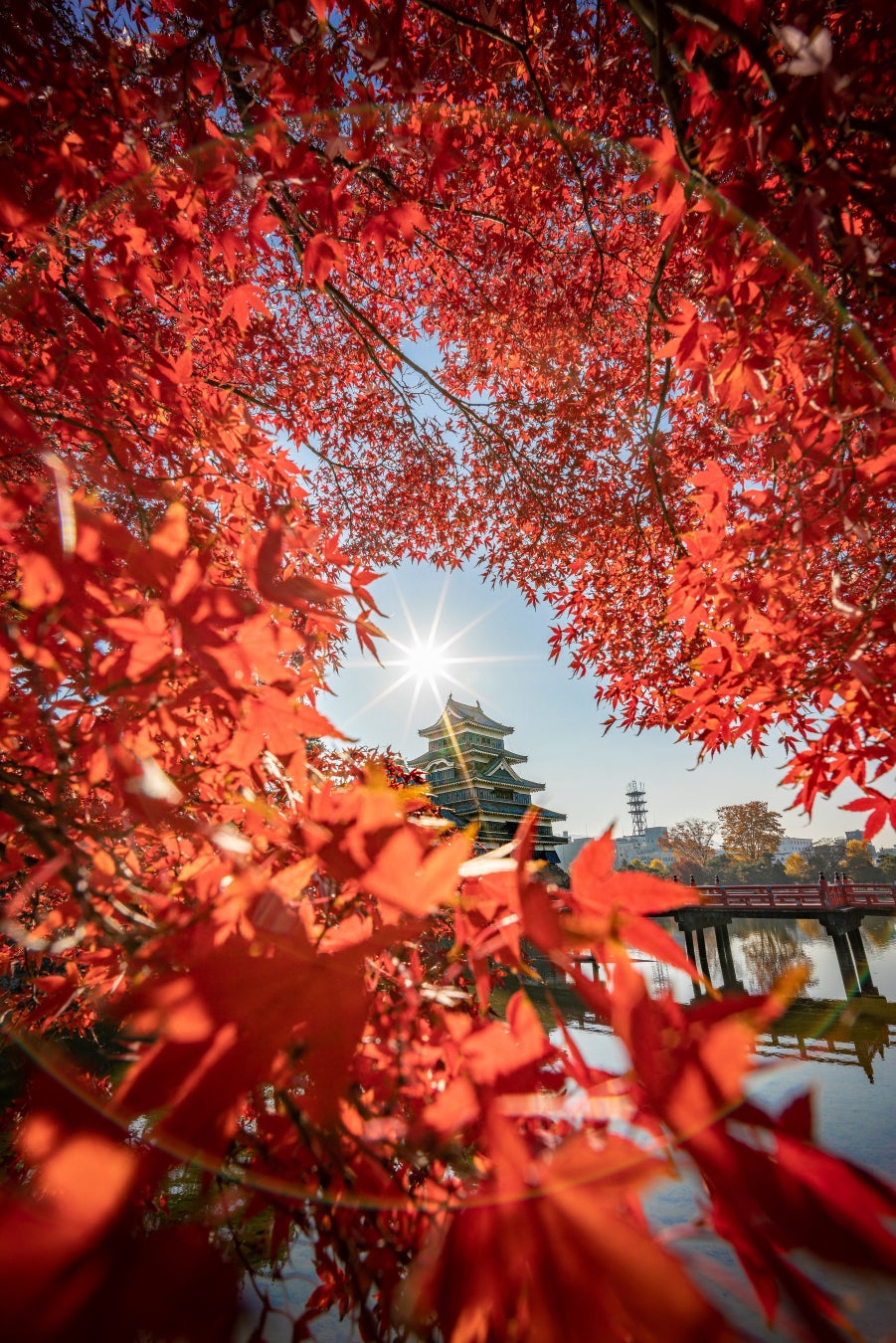 T&D保険グループが発表!フォトコンテスト2023受賞作品公開中 T&D保険グループが発表!フォトコンテスト2023受賞作品公開中