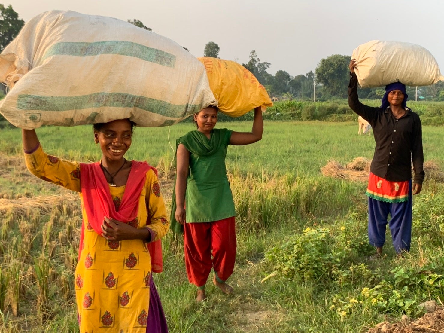 『ayurworld(アーユルワールド)』