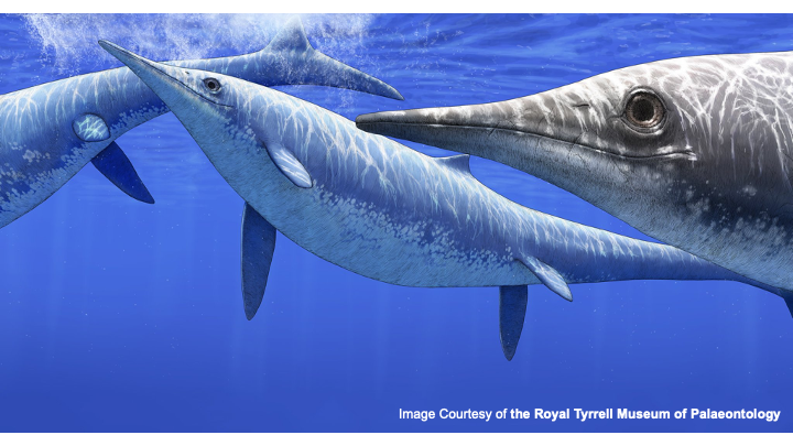 『ショニサウルス』復元図