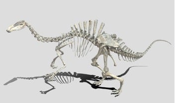 「デイノケイルス」全身骨格 CGモデル