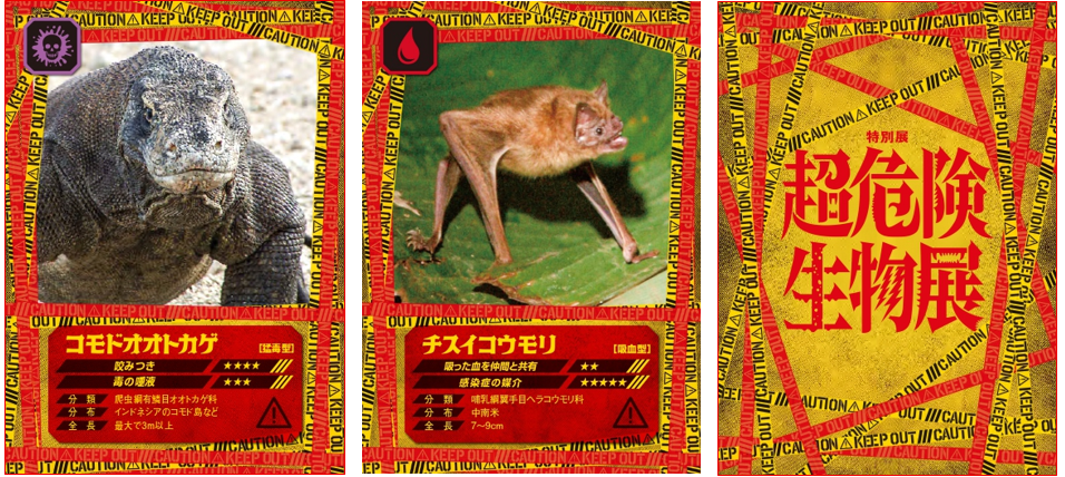 その“キケン”、ワケがあります！ 特別展「超危険生物展科学で挑む