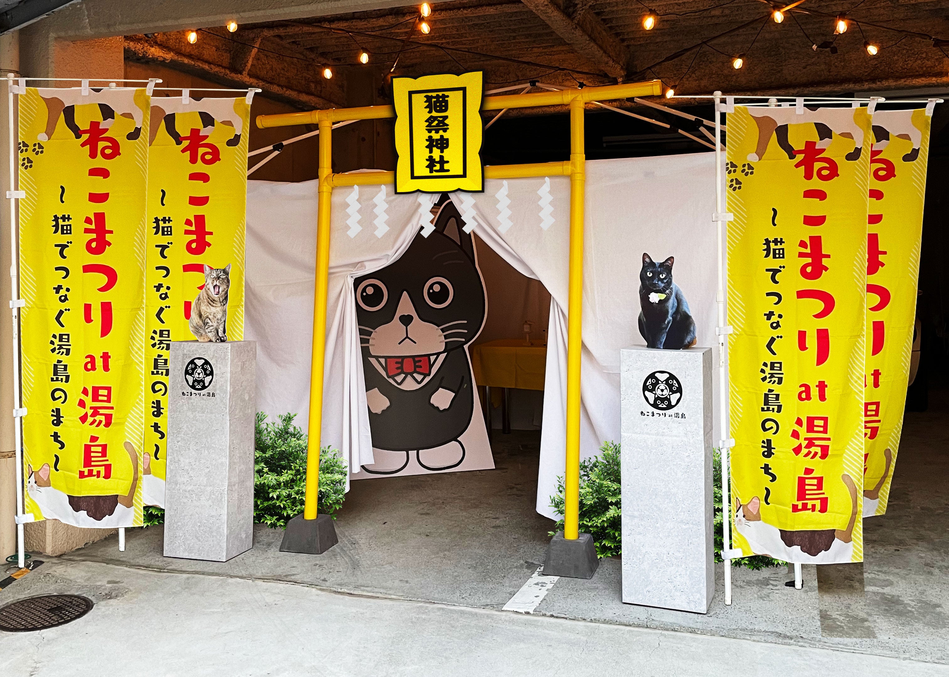 ねこまつり神社（イメージ）